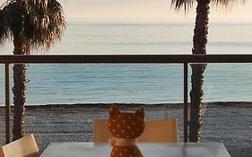 Apartamento Azul Marino